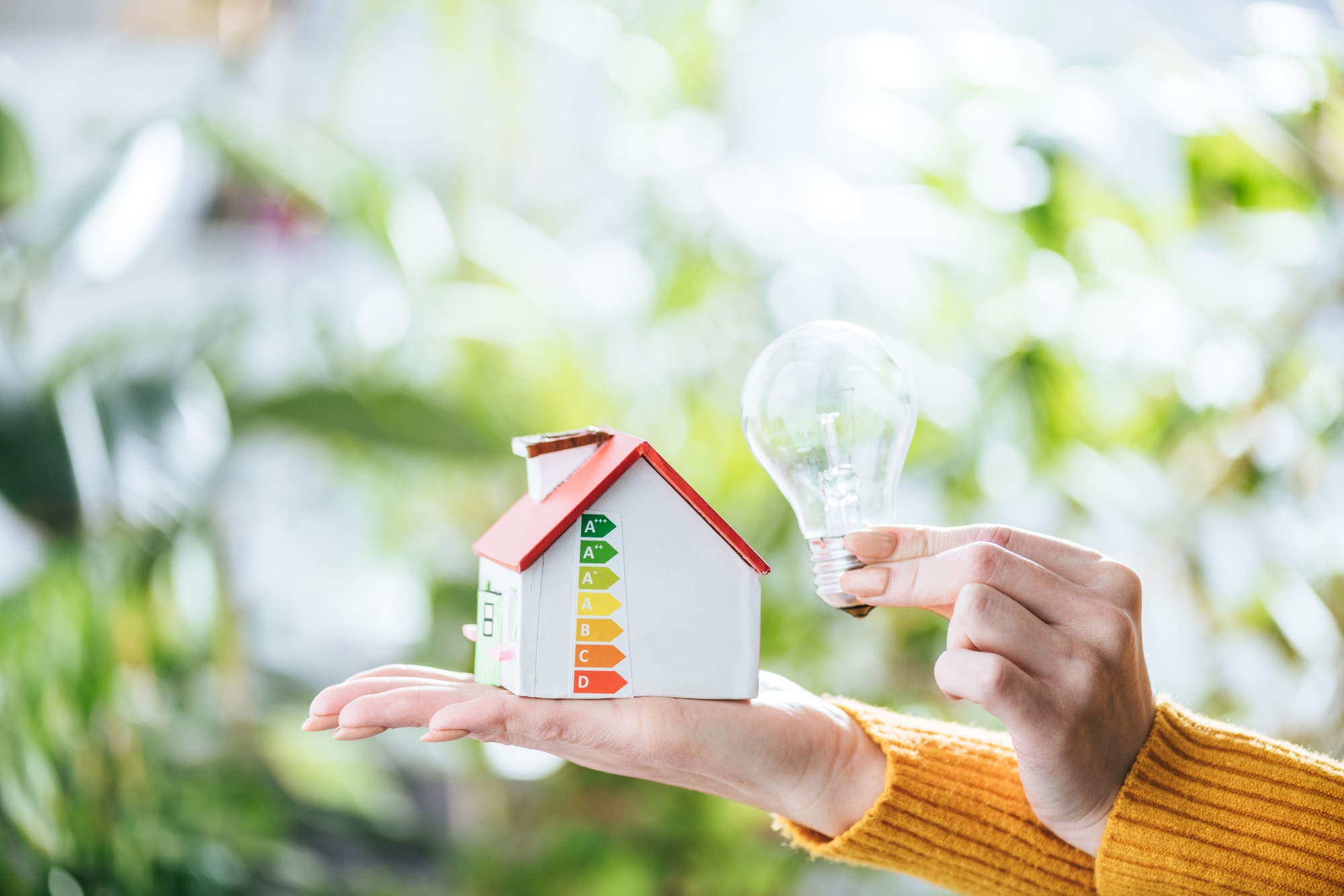 cropped view of woman holding led lamp and carton house, energy efficiency at home concept